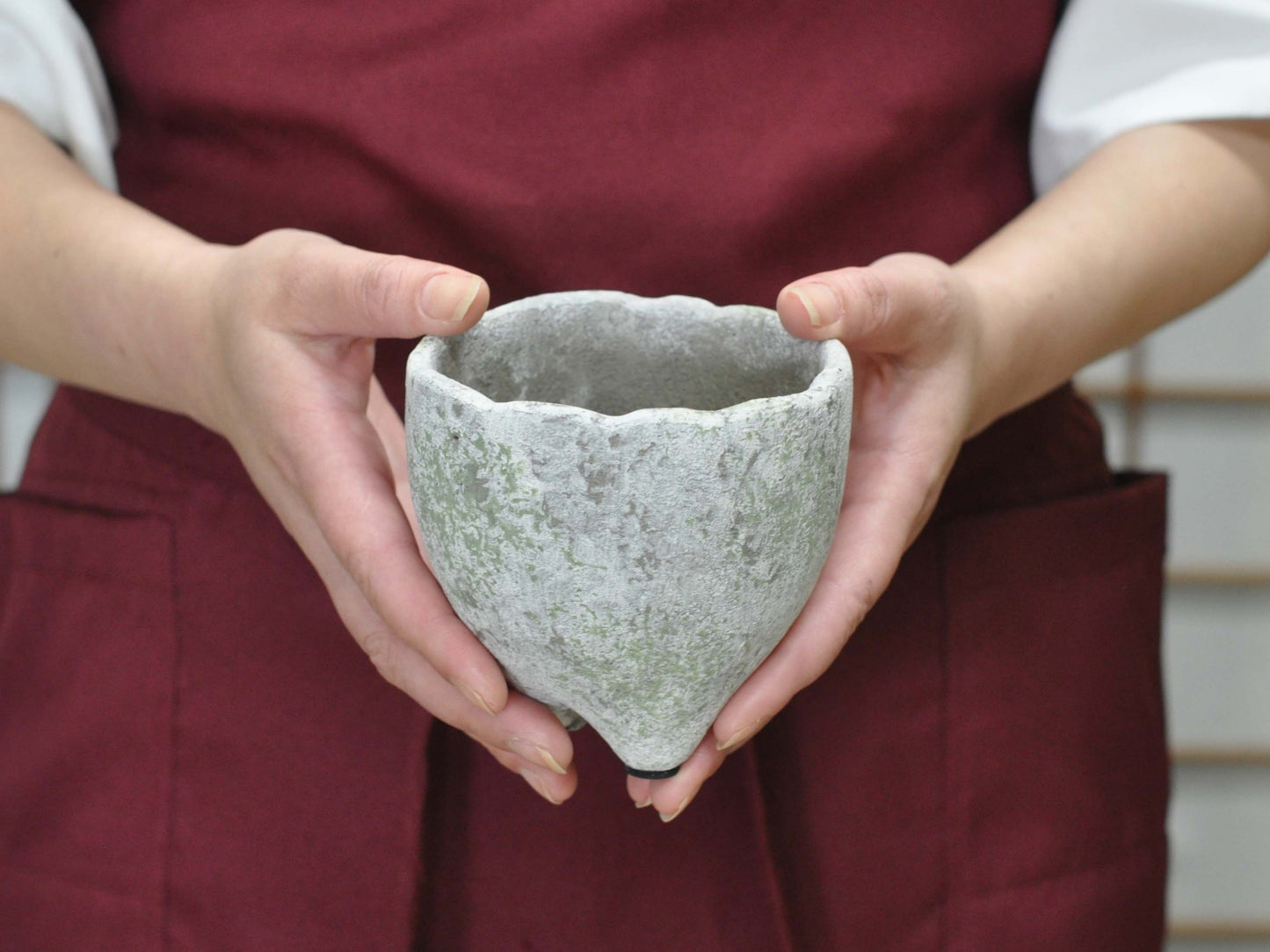 3号鉢(幅8～10cm)