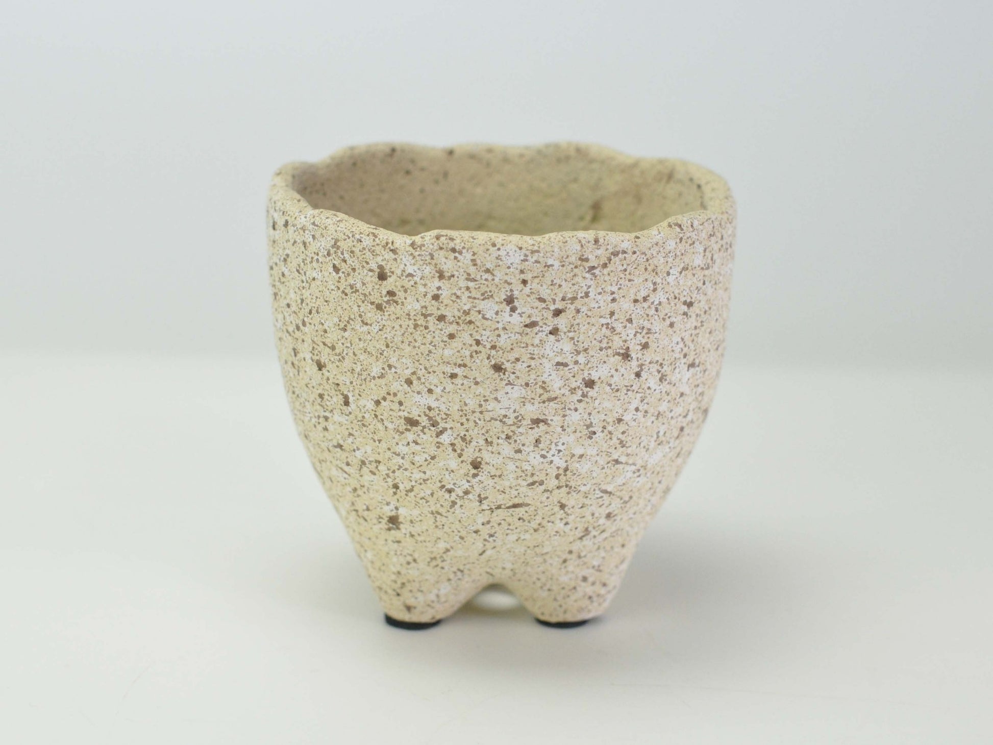 3号鉢(幅8～10cm)