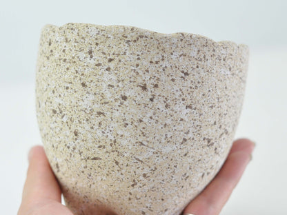 3号鉢(幅8～10cm)