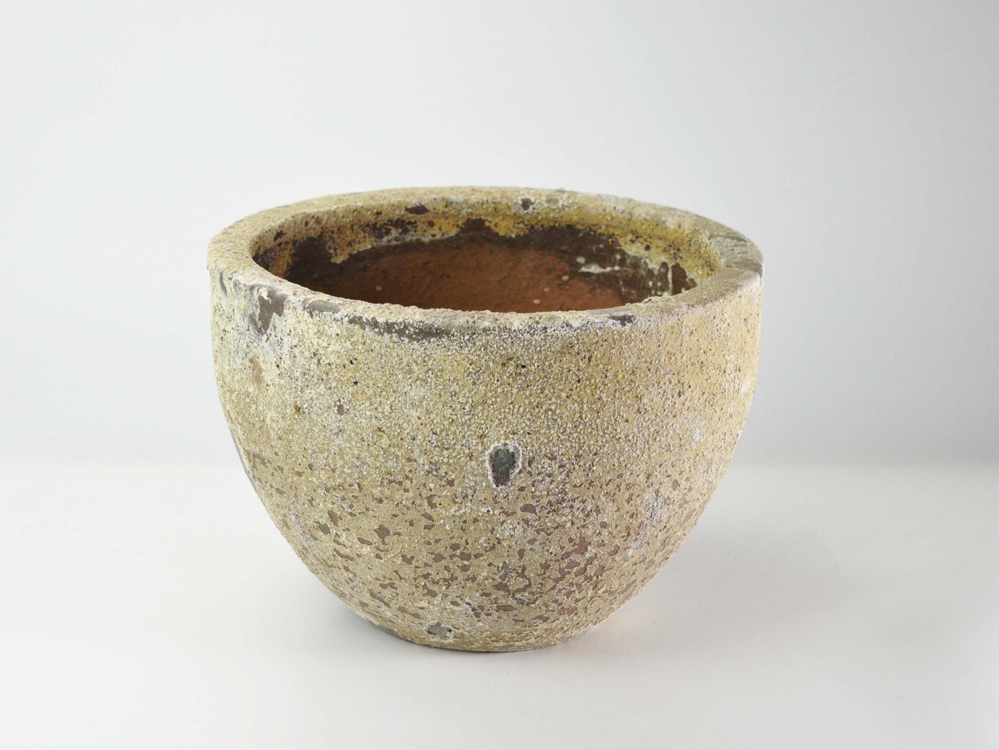 10号鉢(幅30～32cm)