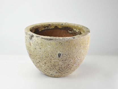 10号鉢(幅30～32cm)