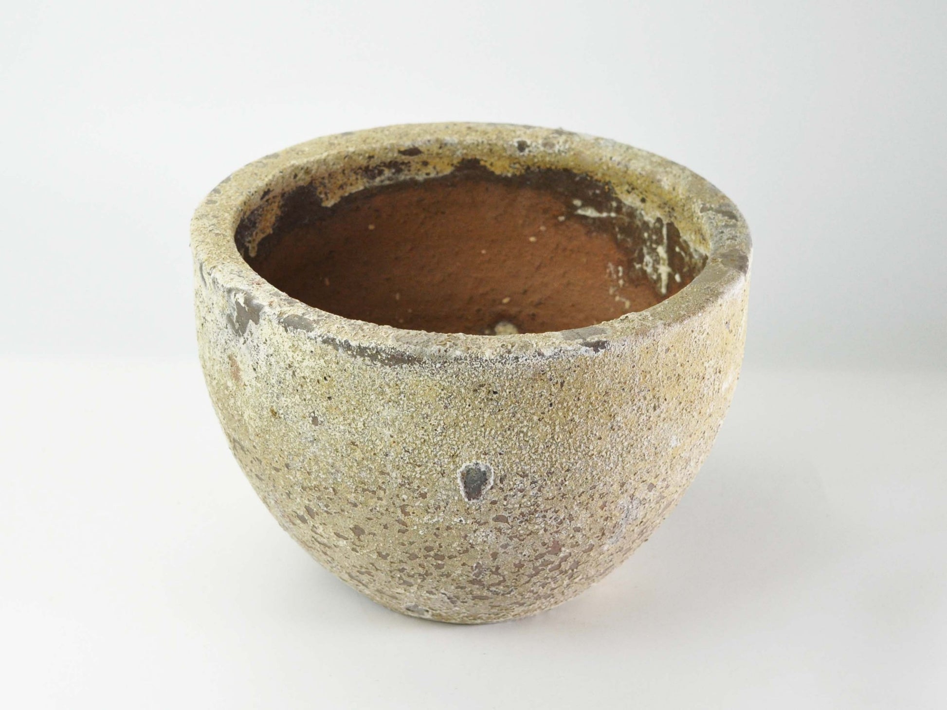 10号鉢(幅30～32cm)