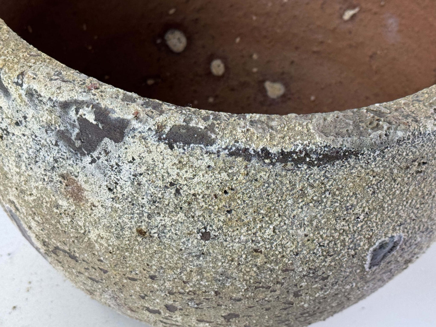 10号鉢(幅30～32cm)
