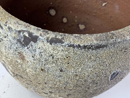 10号鉢(幅30～32cm)
