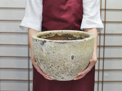 10号鉢(幅30～32cm)