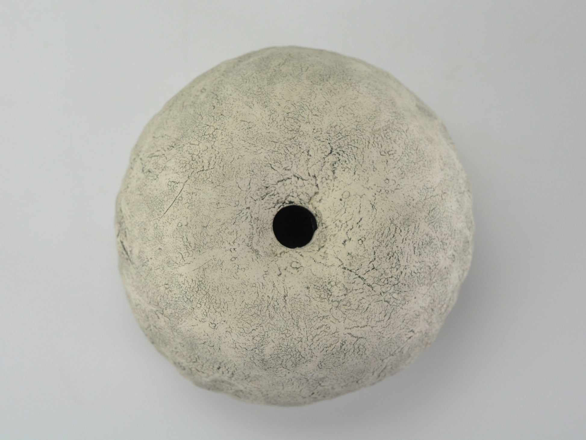 5号鉢(幅14～16cm)