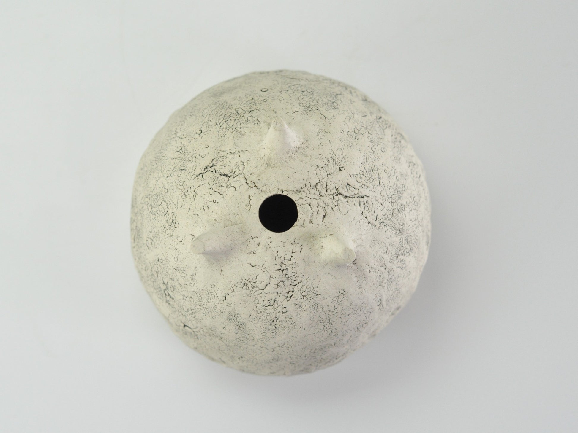 5号鉢(幅14～16cm)
