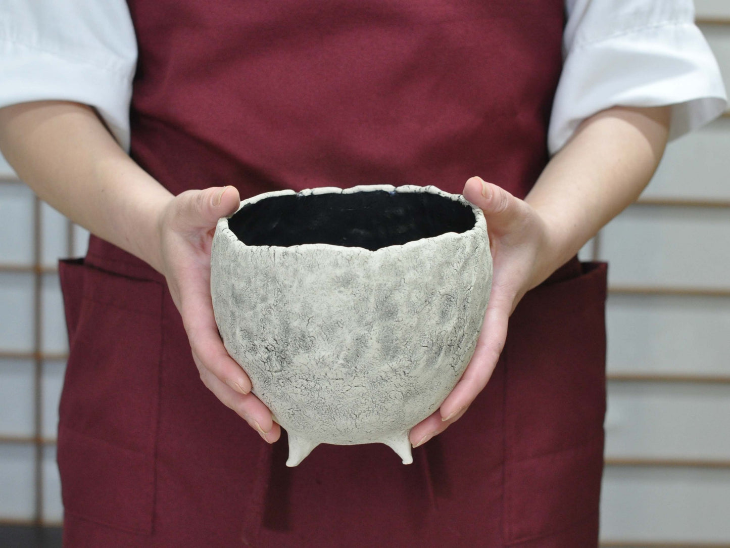 5号鉢(幅14～16cm)