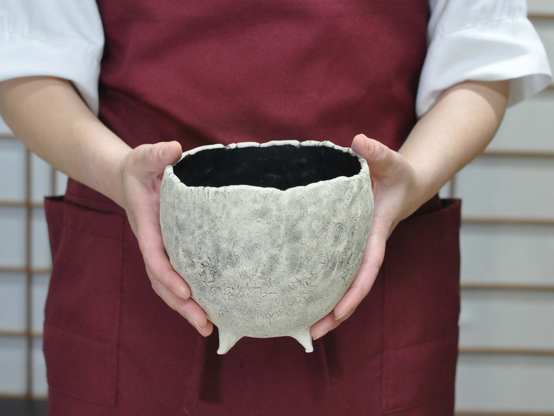 5号鉢(幅14～16cm)