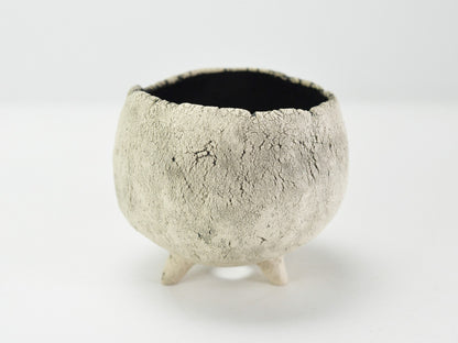 3号鉢(幅8～10cm)