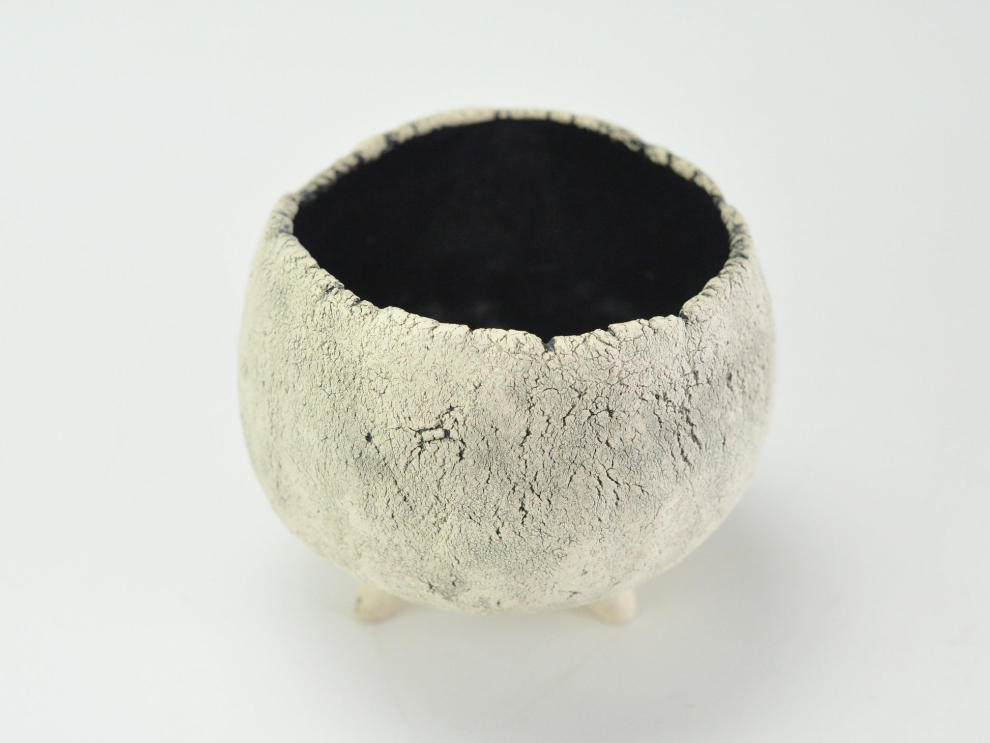 3号鉢(幅8～10cm)