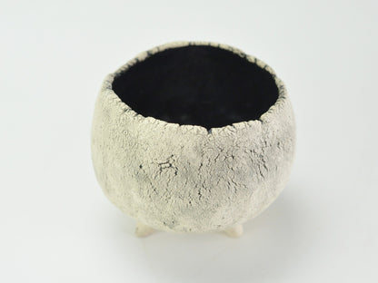 3号鉢(幅8～10cm)