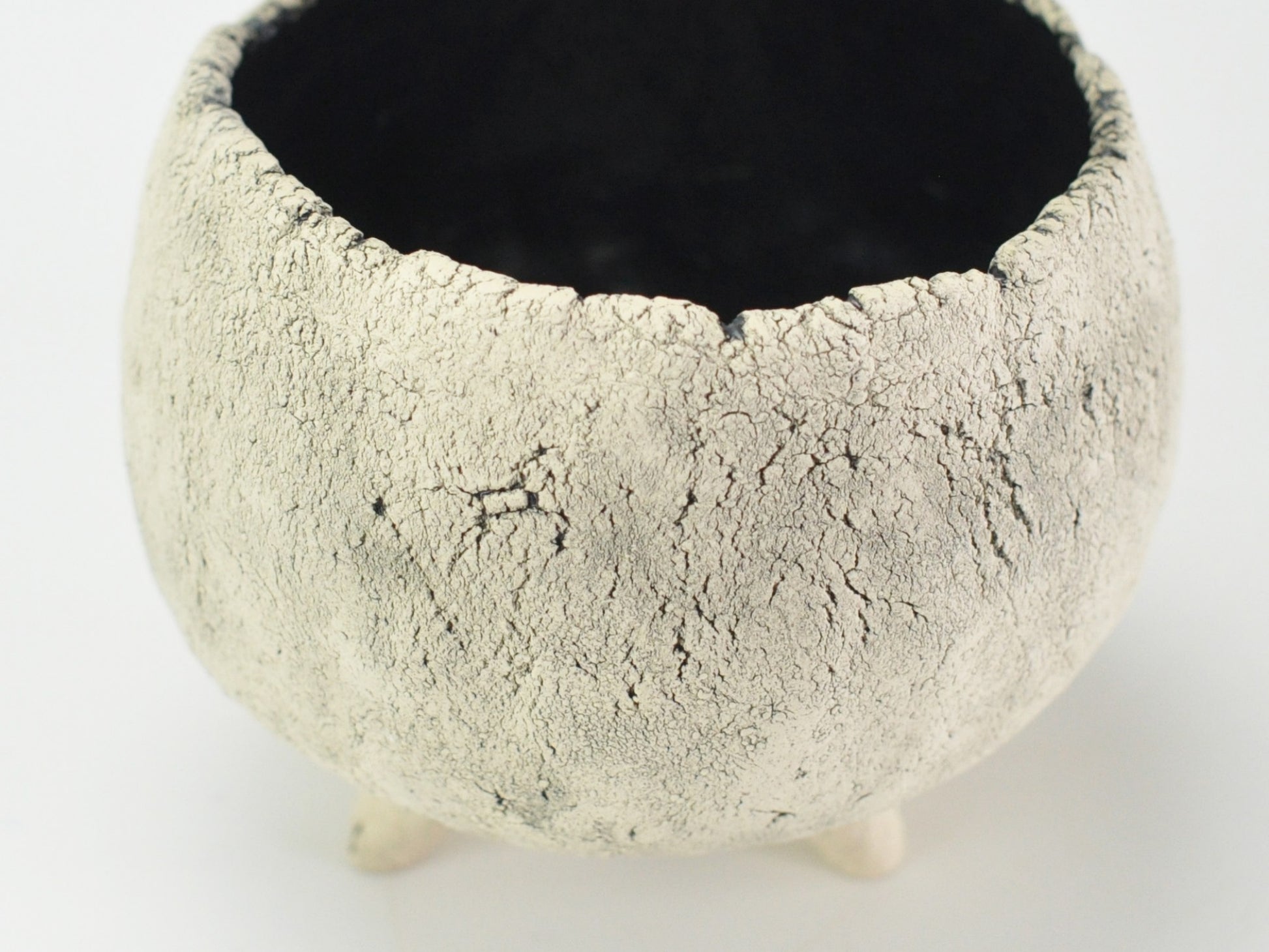 3号鉢(幅8～10cm)