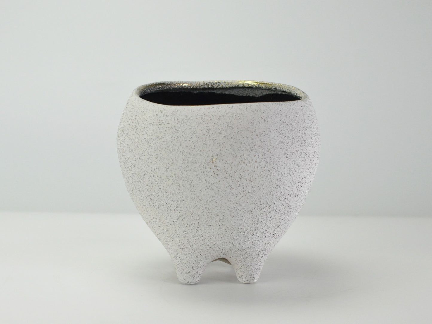6号鉢(幅18～20cm)