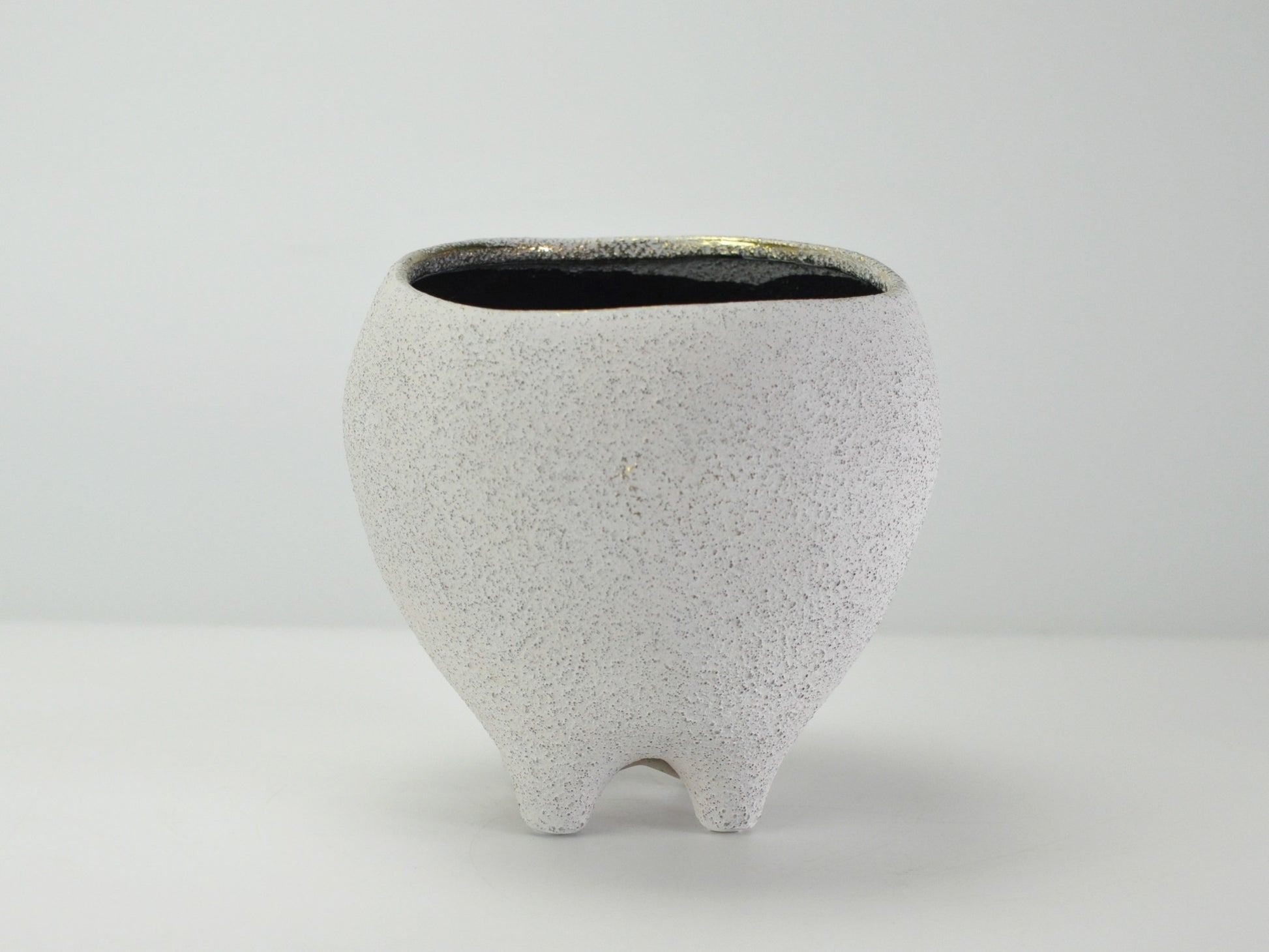 6号鉢(幅18～20cm)