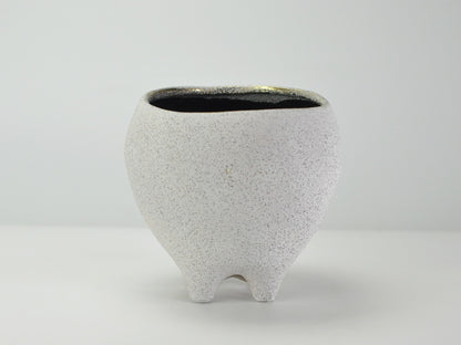 6号鉢(幅18～20cm)