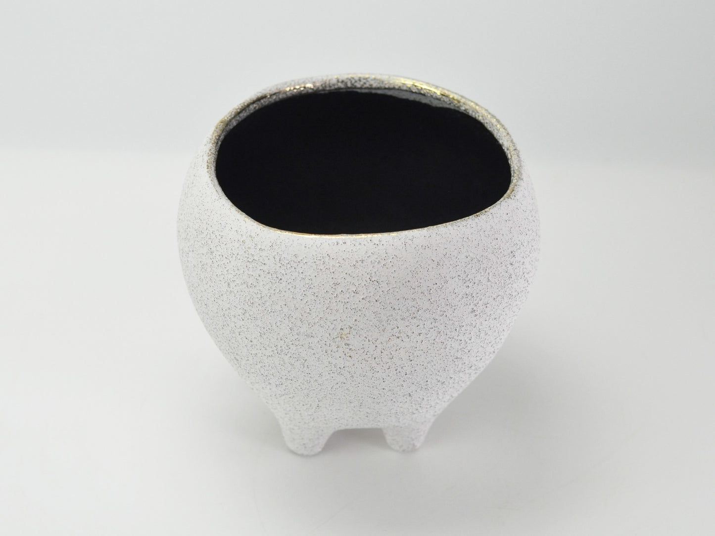 6号鉢(幅18～20cm)
