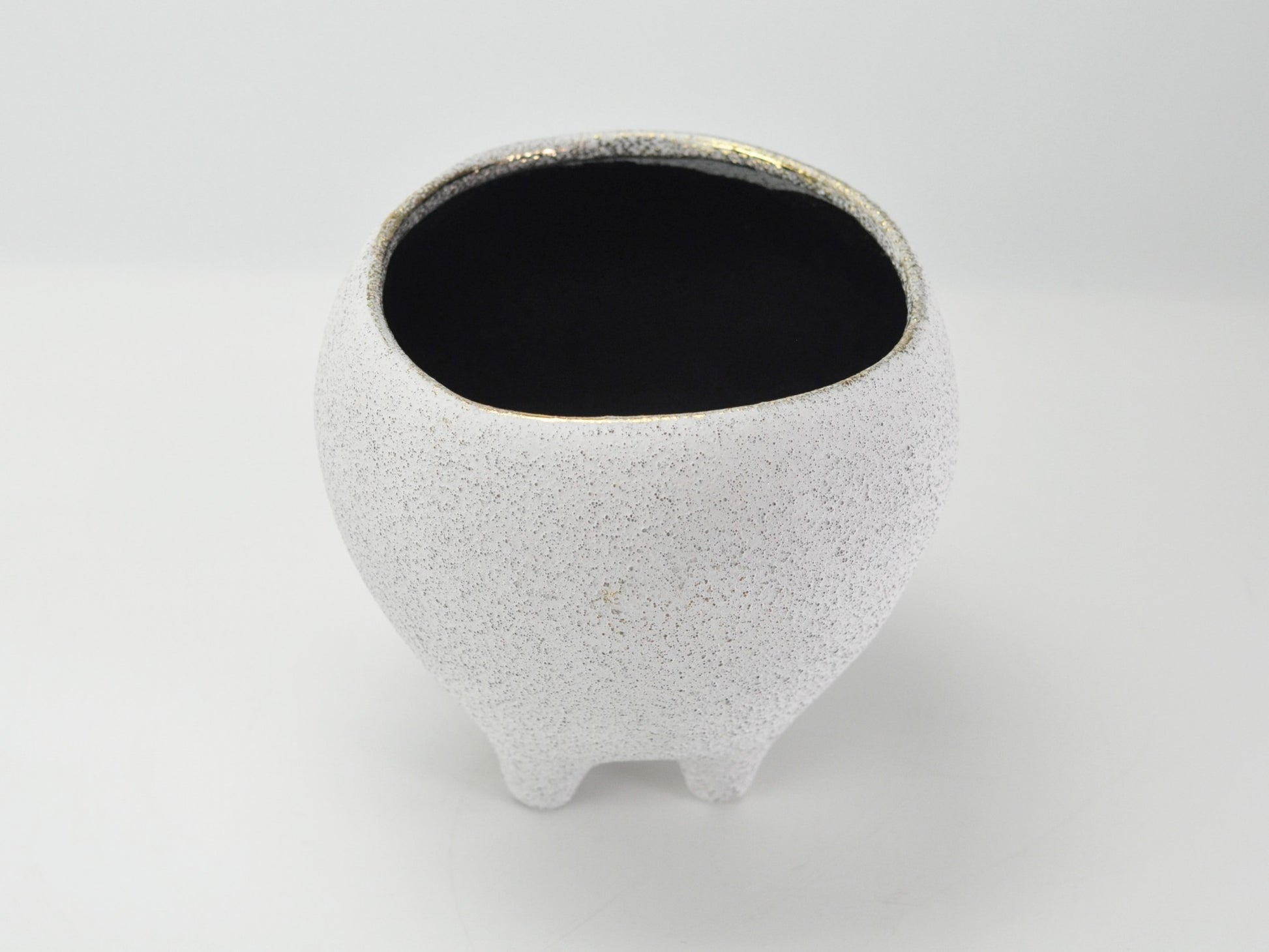 6号鉢(幅18～20cm)