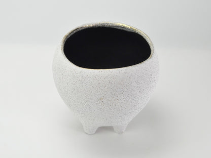 6号鉢(幅18～20cm)