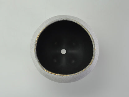 6号鉢(幅18～20cm)
