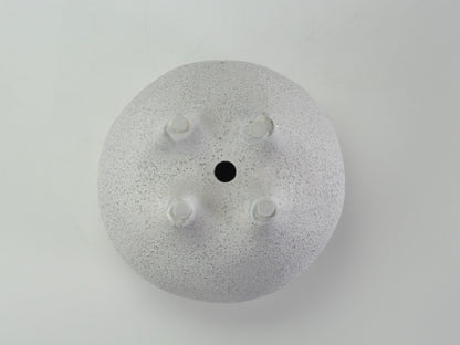 6号鉢(幅18～20cm)