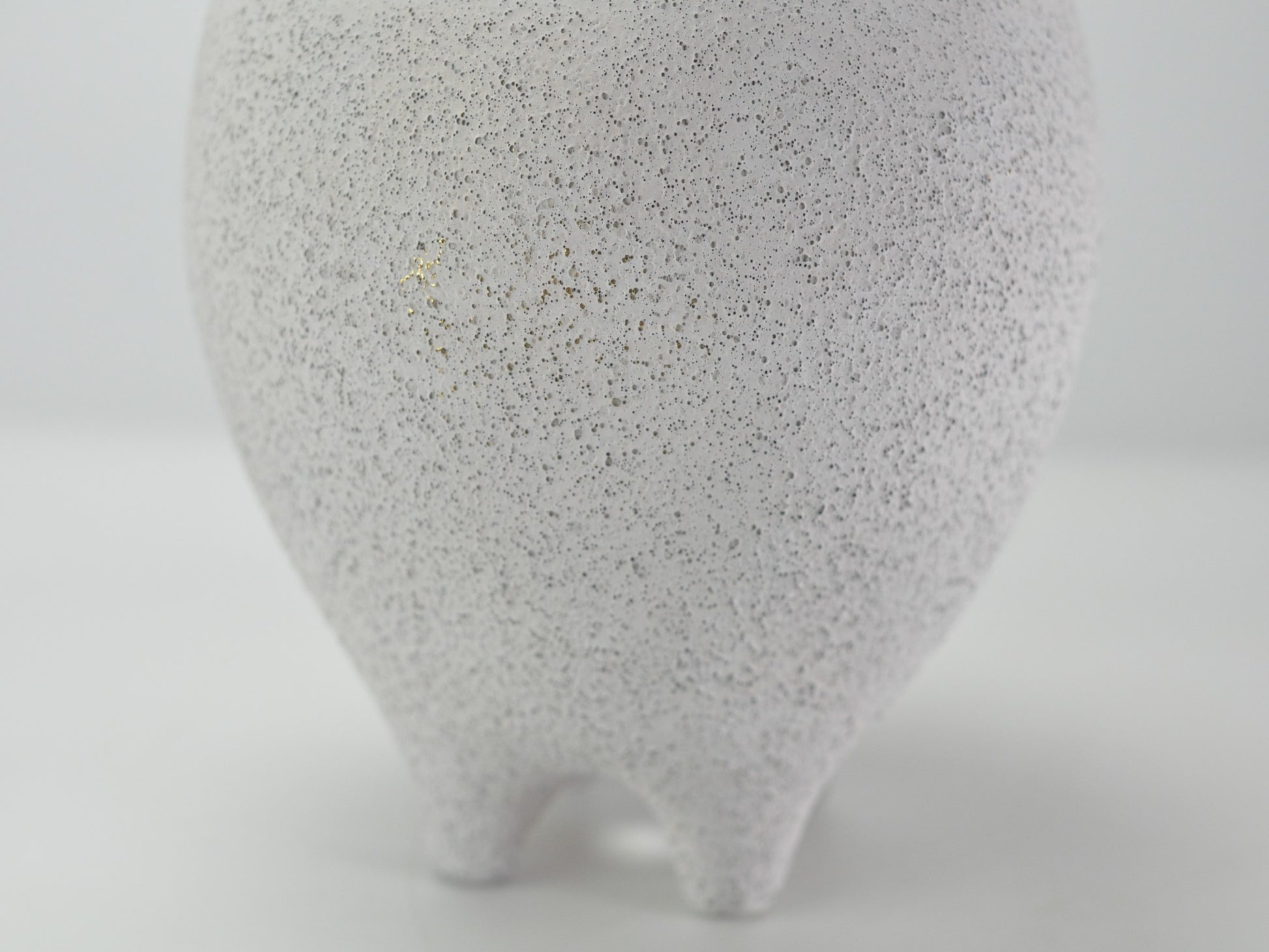 6号鉢(幅18～20cm)