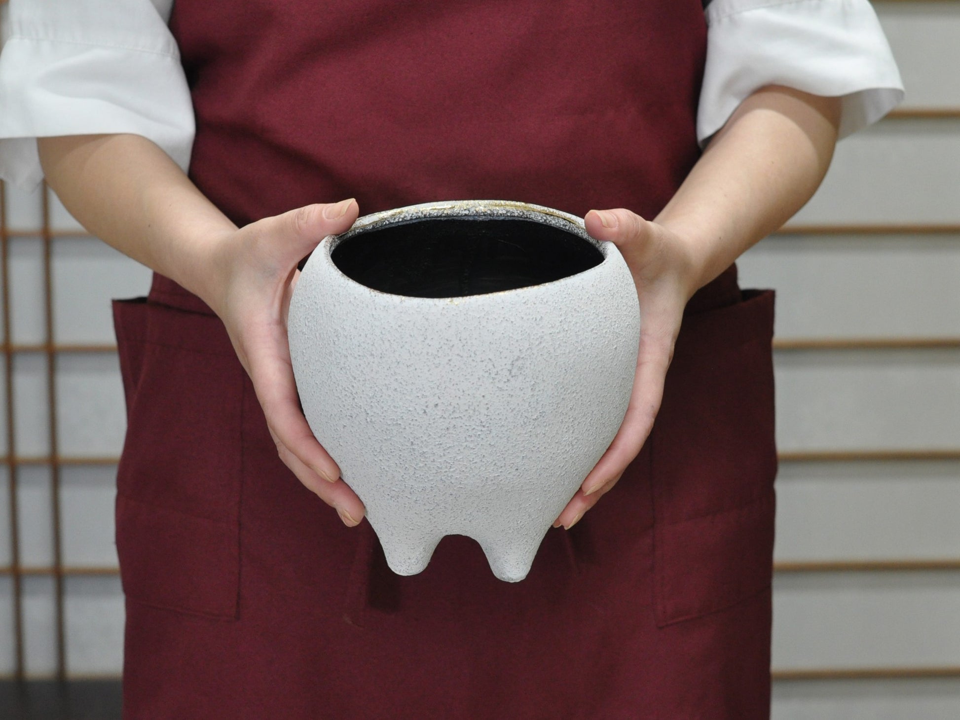 6号鉢(幅18～20cm)