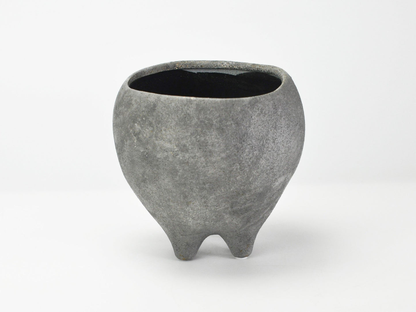 6号鉢(幅18～20cm)