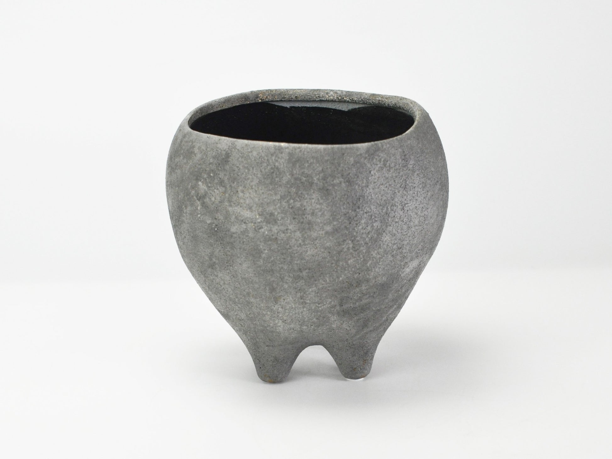 6号鉢(幅18～20cm)