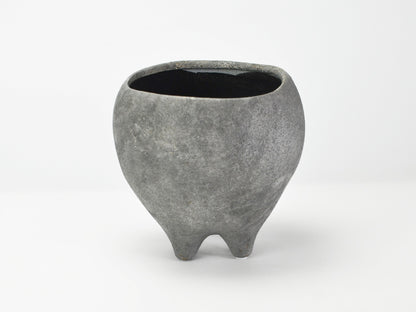 6号鉢(幅18～20cm)