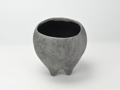 6号鉢(幅18～20cm)
