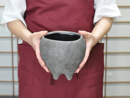 6号鉢(幅18～20cm)