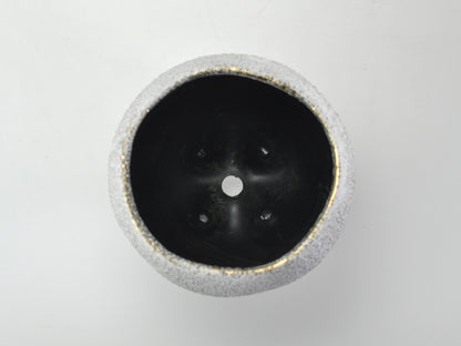 5号鉢(幅14～16cm)