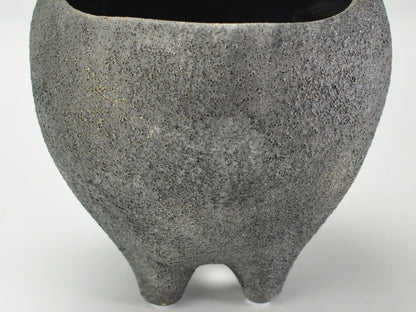 5号鉢(幅14～16cm)