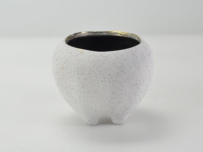 3号鉢(幅8～10cm)