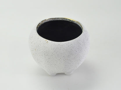 3号鉢(幅8～10cm)