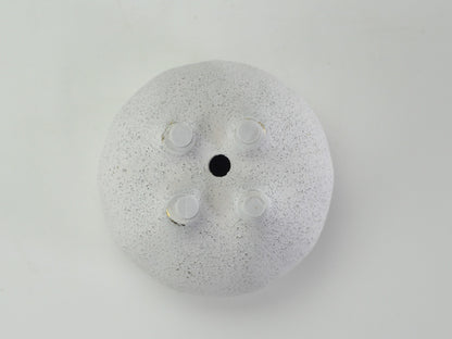 3号鉢(幅8～10cm)