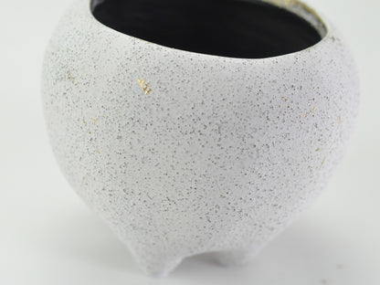 3号鉢(幅8～10cm)