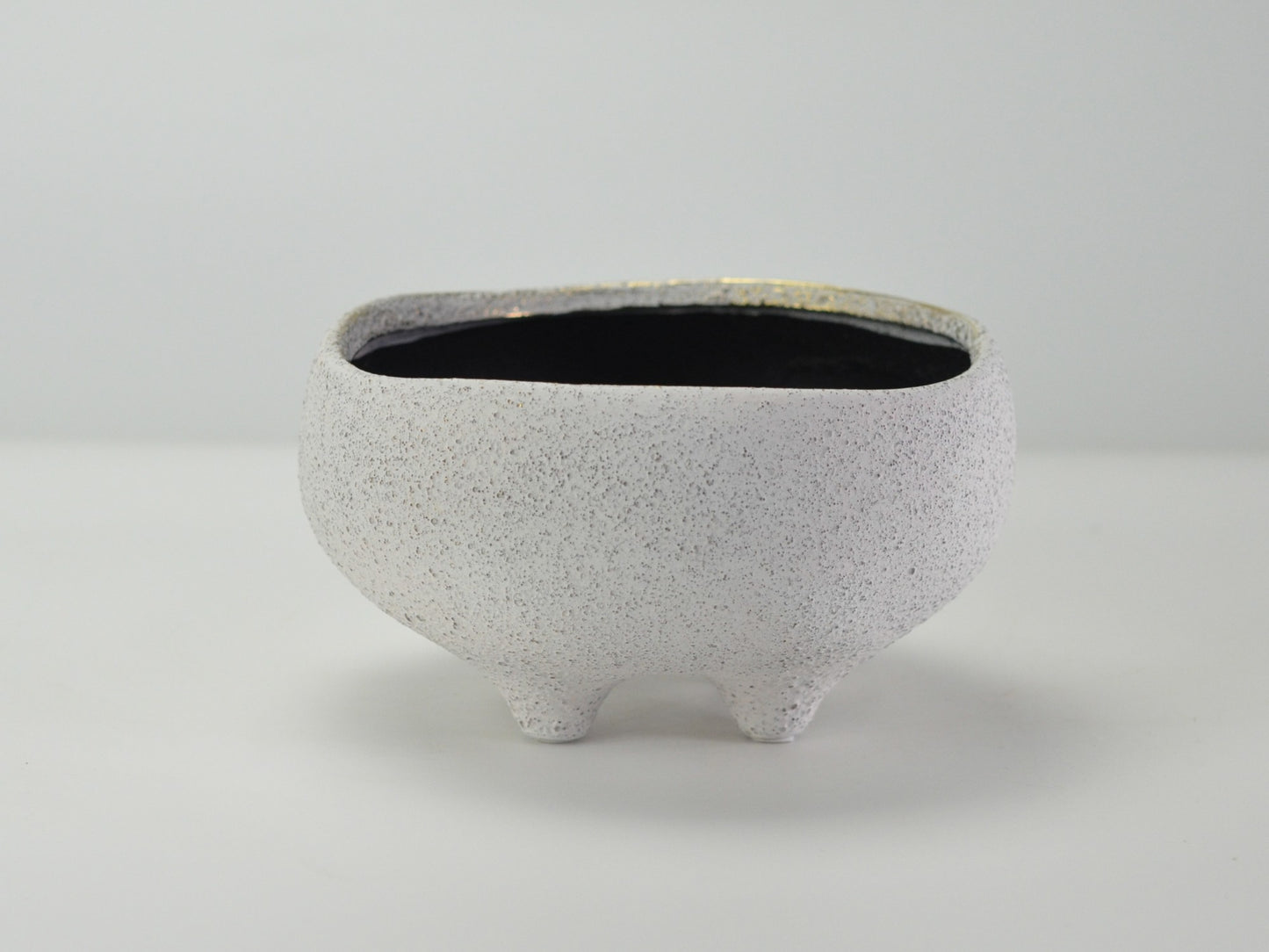 6号鉢(幅18～20cm)