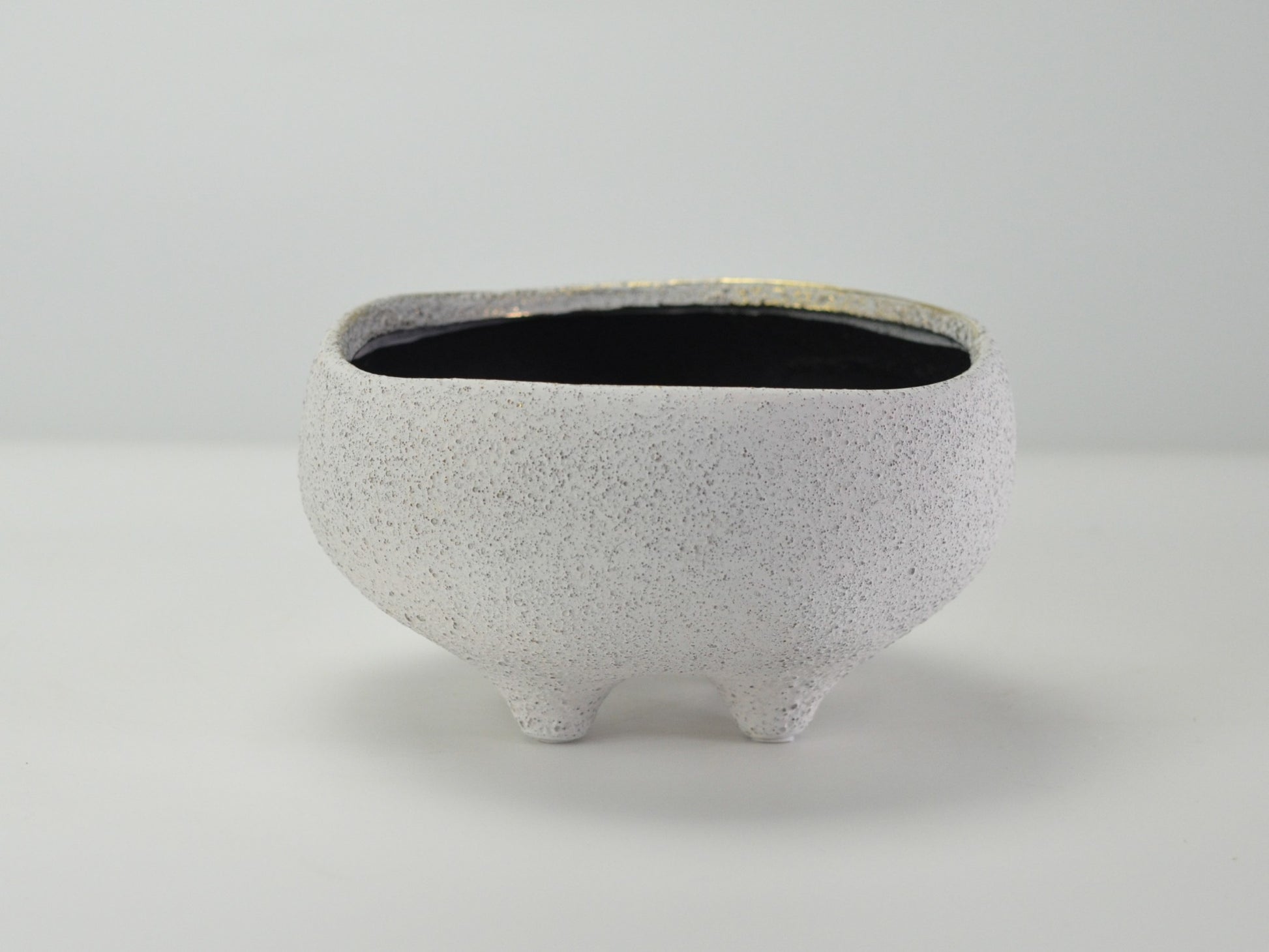6号鉢(幅18～20cm)
