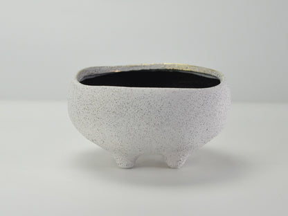 6号鉢(幅18～20cm)