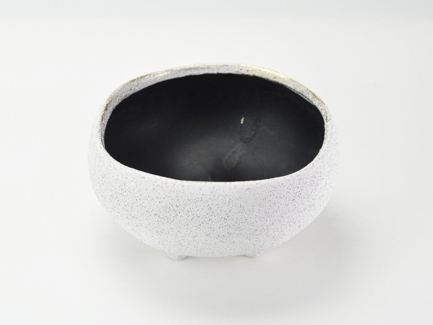 6号鉢(幅18～20cm)