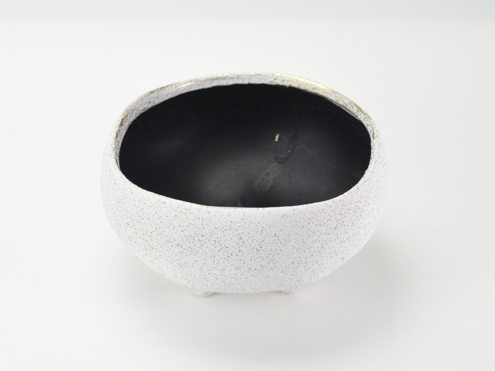 6号鉢(幅18～20cm)