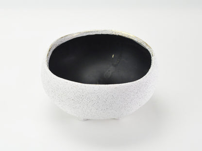 6号鉢(幅18～20cm)