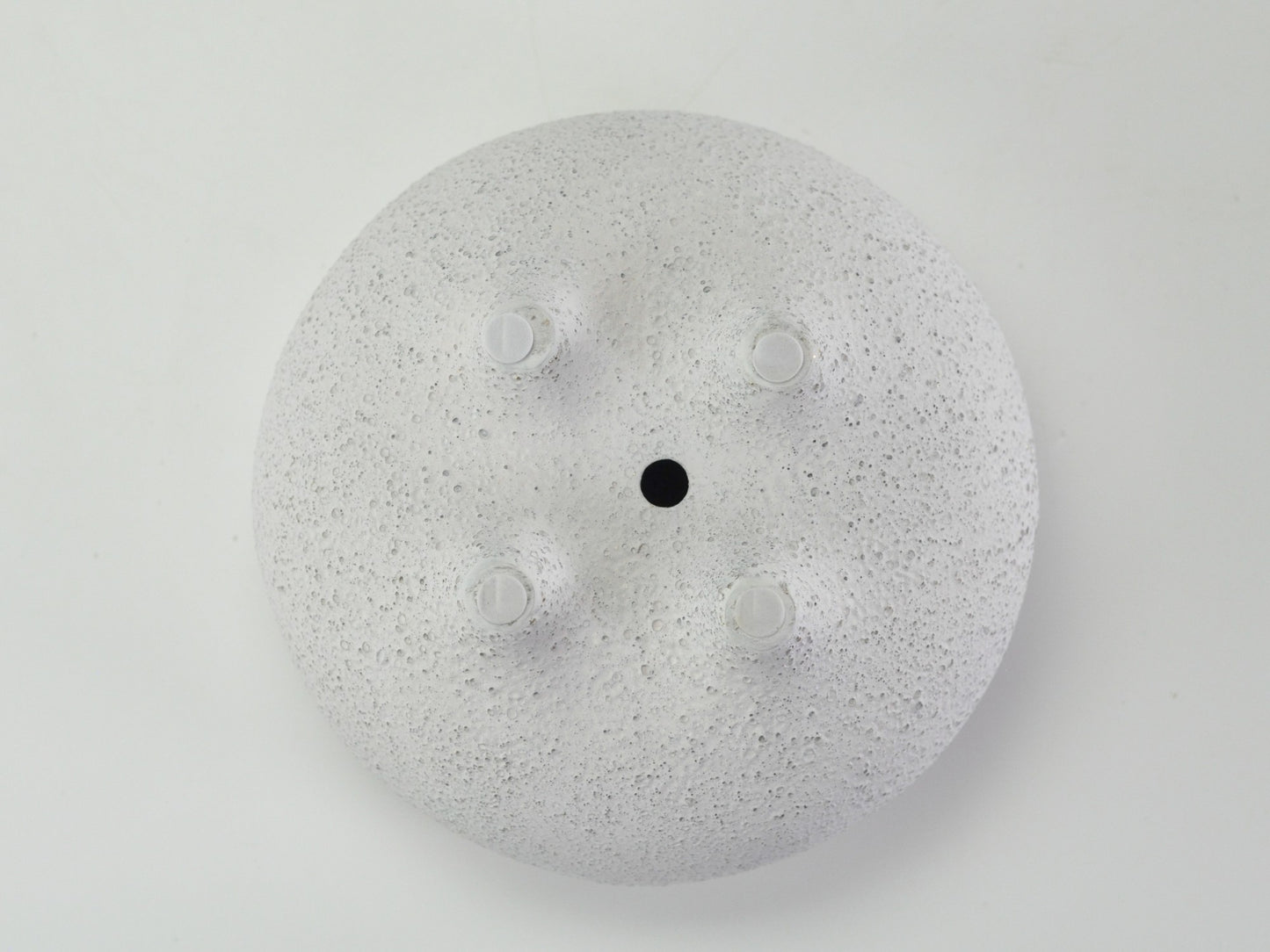 6号鉢(幅18～20cm)
