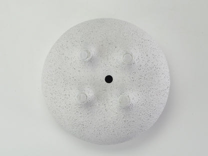 6号鉢(幅18～20cm)