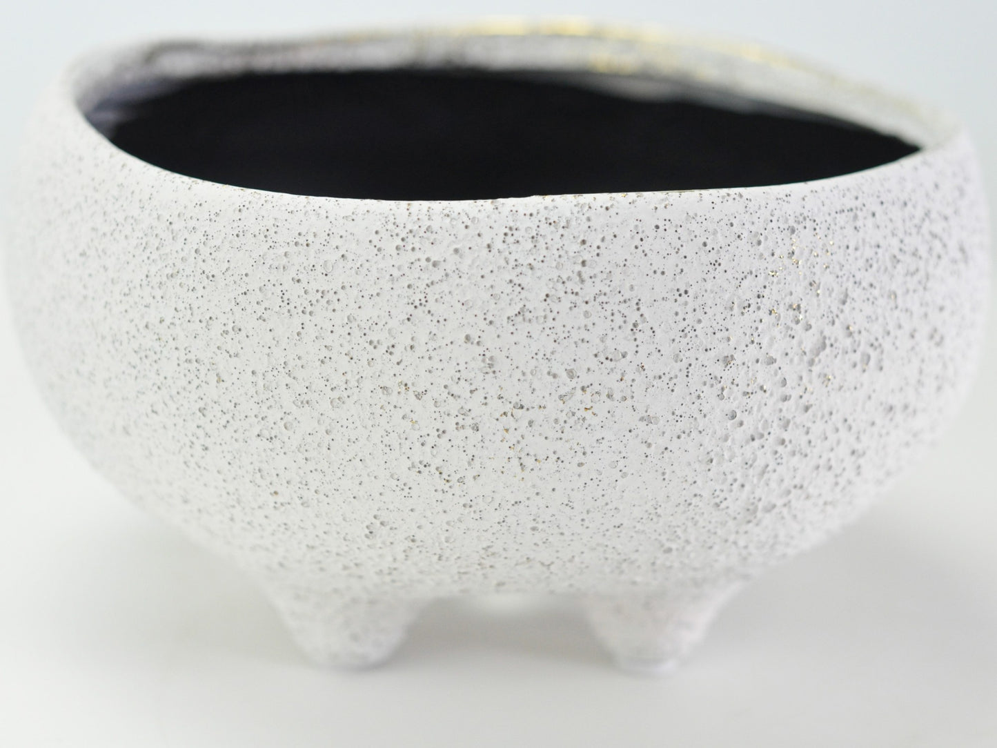 6号鉢(幅18～20cm)