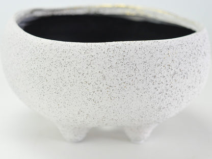 6号鉢(幅18～20cm)