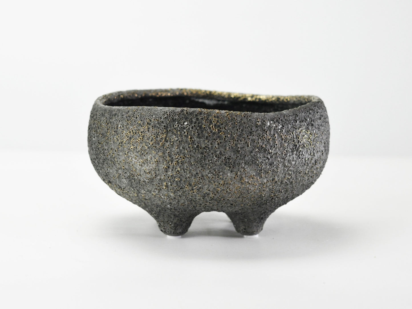 6号鉢(幅18～20cm)