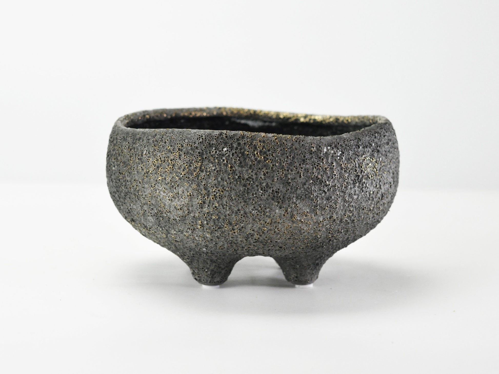 6号鉢(幅18～20cm)